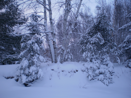 Stone wall beneath that snow to the south of our property