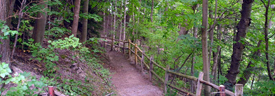 Path